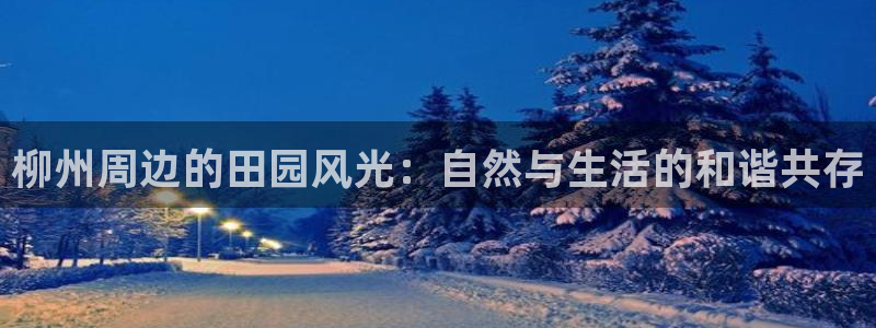fh至尊怎么没有了