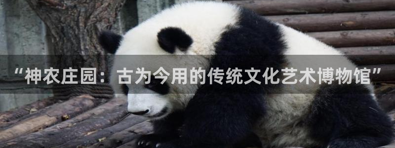 FH至尊平台怎么样