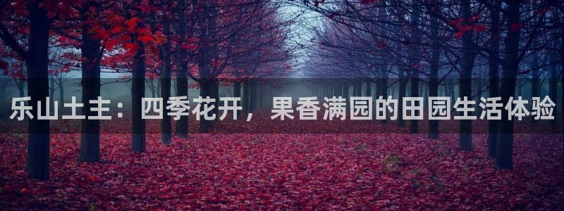 FH至尊公安