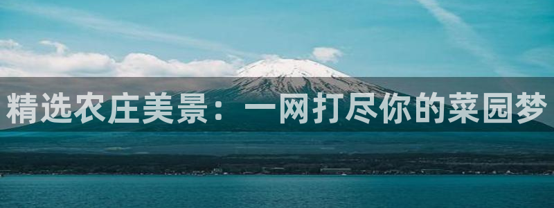 fh至尊平台下载