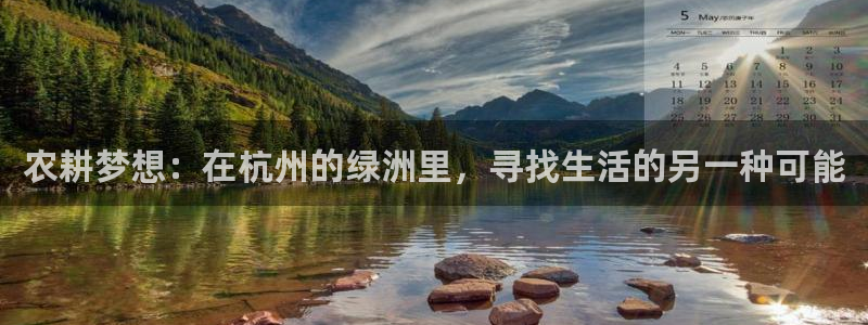 fh至尊20