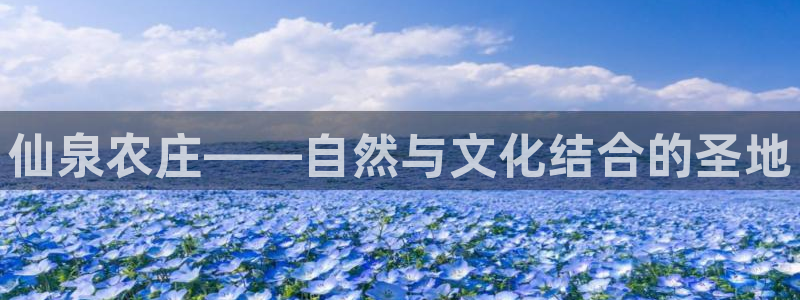 fh至尊什么意思