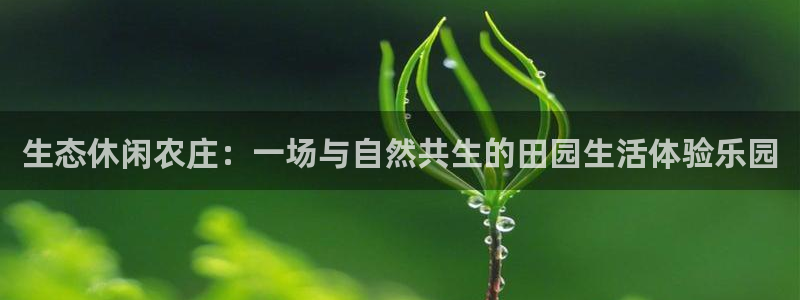 FH至尊apk