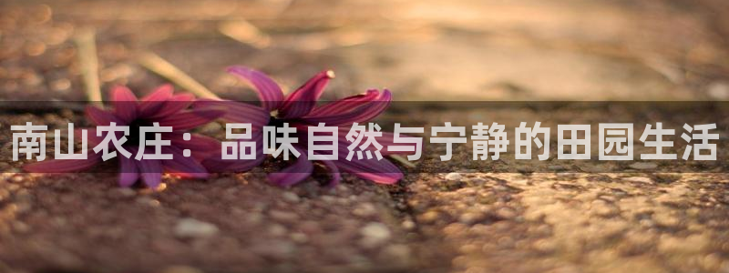 FH至尊apk