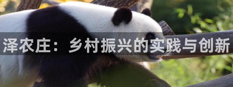 凤凰FH至尊