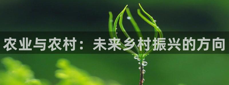 fh至尊怎么没有了