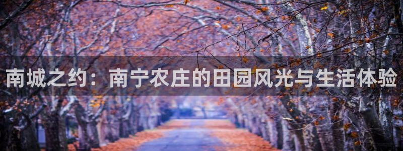 fh至尊平台APP