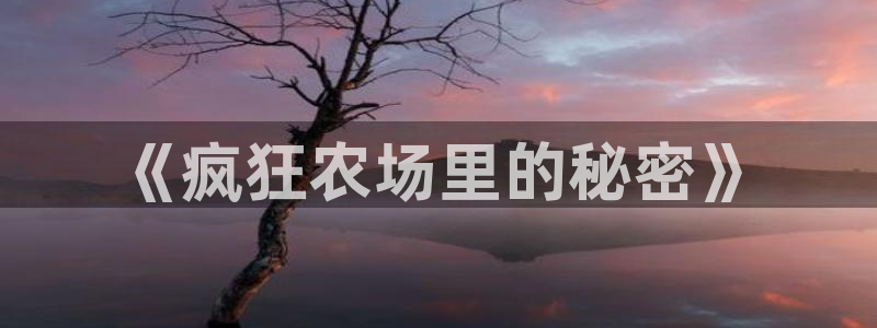 fh至尊平台APP