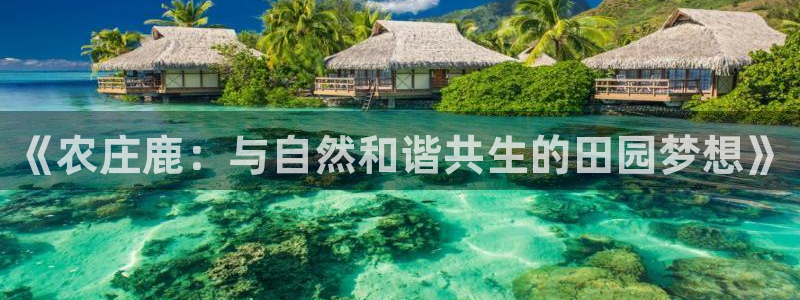 fh至尊平台安全吗