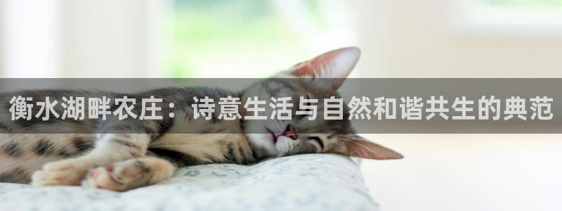 FH至尊娱乐下载二维码