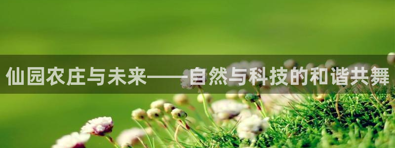 FH至尊娱乐平台