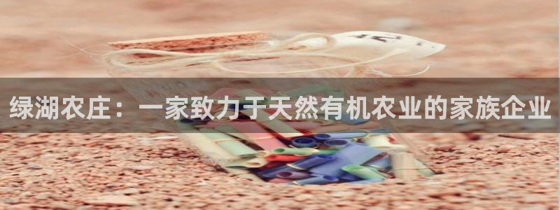 FH至尊是什么
