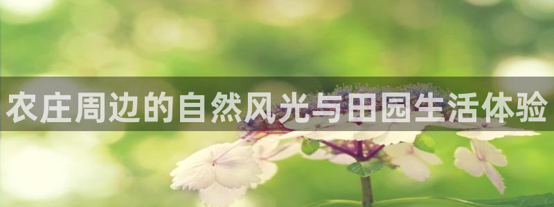 FH至尊娱乐下载二维码