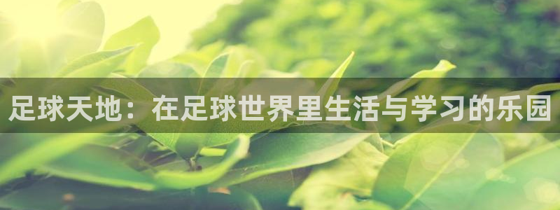 fh凤凰至尊1950